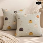 Cushion Pillow with Cover